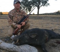 hog hunting, wild boar guided hunts