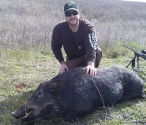 hog hunting california