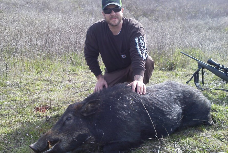 hog hunting california