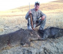 hog hunting california