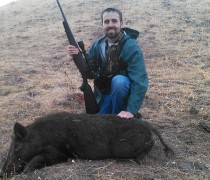 hog hunting guide california