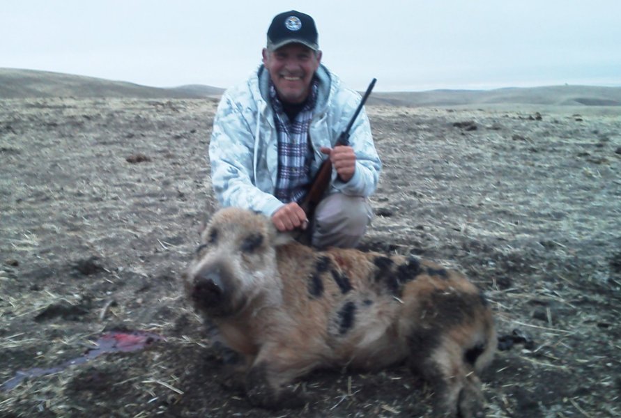 boar hunting trips