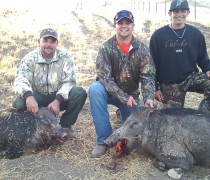 hog hunts in california